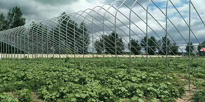 新疆蔬菜大棚的建设流程