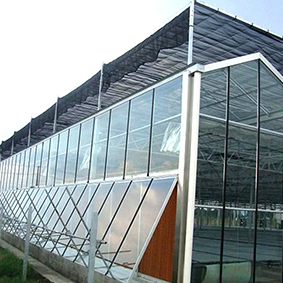 新疆玻璃大棚