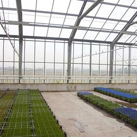 新疆玻璃温室